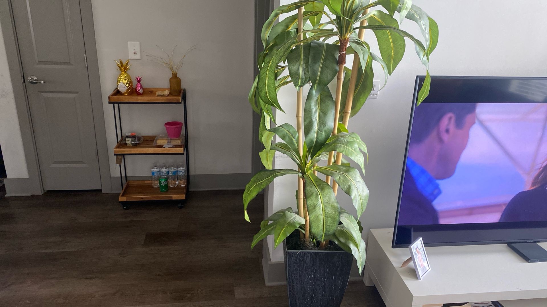 Artificial House plant