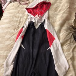 Spider Girl Costume