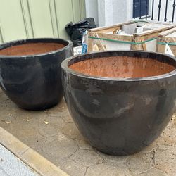 Gorgeous Ceramic Planter pots