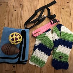 Dog Towel Two Dog Seahawks Scarves Kong Ball Leash Collar