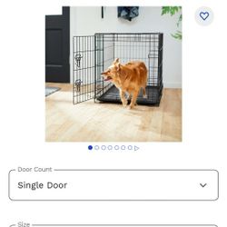 Dog Create