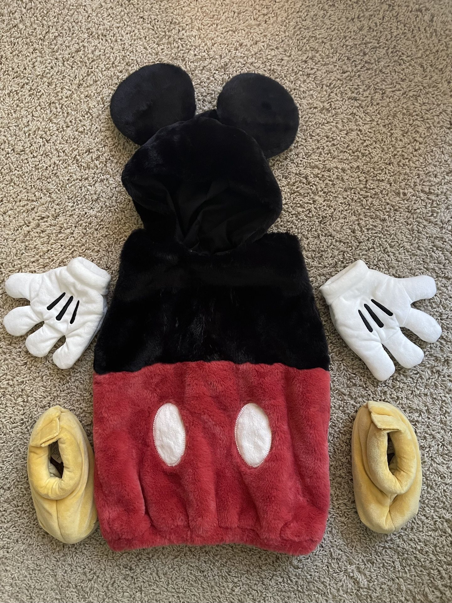 Mickey Mouse Halloween Costume