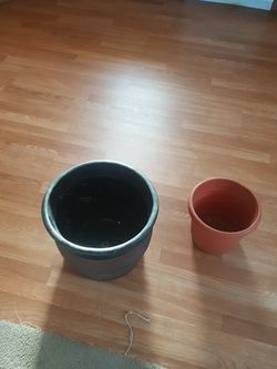 Plant pots 2