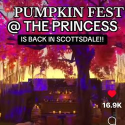 1/2 Price Tickets For Sale - Princess Fall Festival