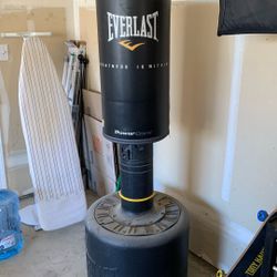 Boxing Punching Bag