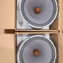 Lii Song W-15 Woofers Pair 