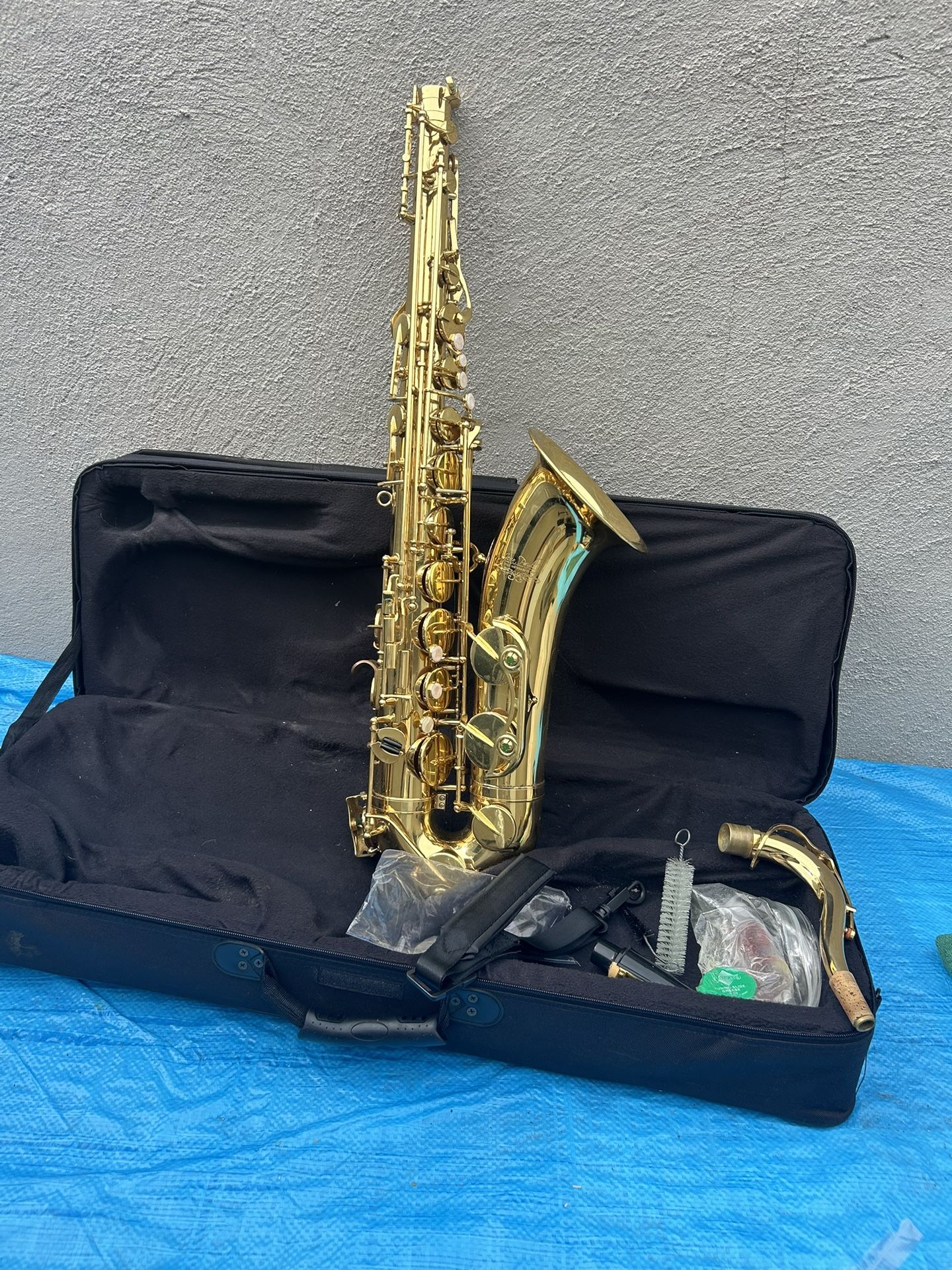 Beautiful 😻 Tenor Alto Saxophone 🎷