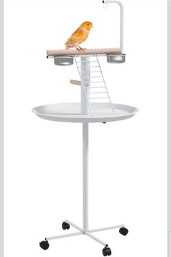 Bird play stand.