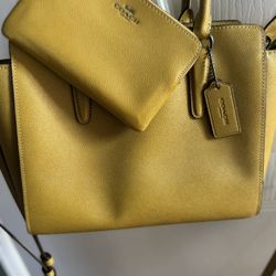 Coach Purse Set 