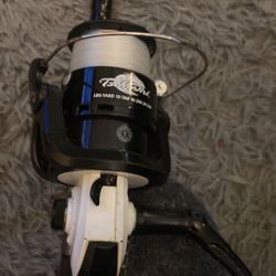 Fishing pole