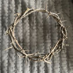 Crown Of Thorns (Biblical)