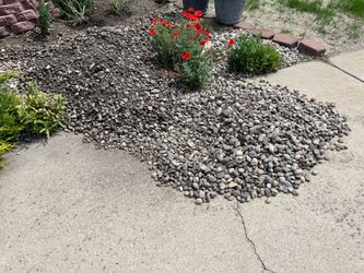 Free rocks