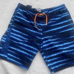 Men's Nike Bathing suit SZ L/31