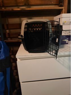 Used carrier for cat or dog
