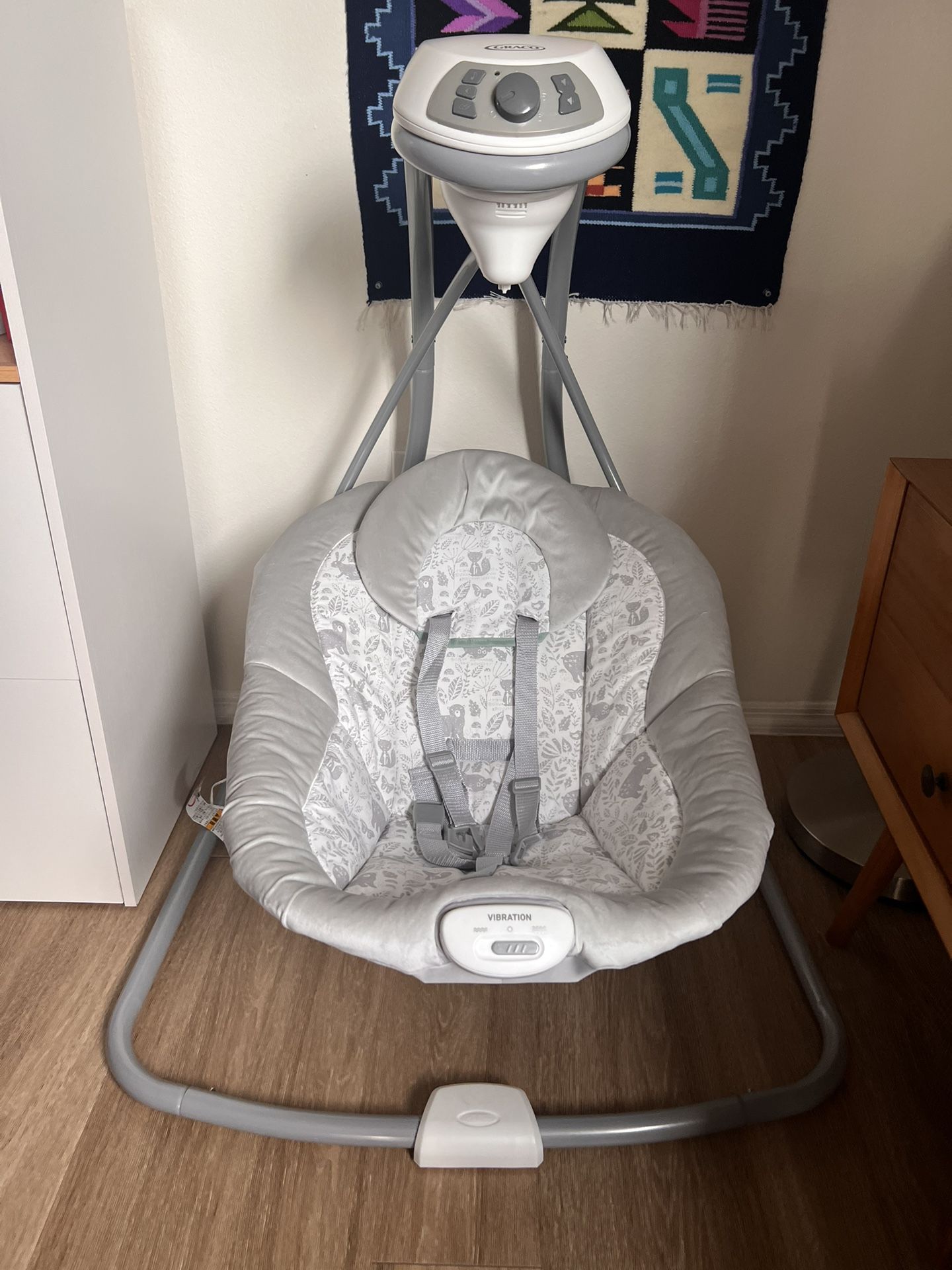 Graco Baby Swing