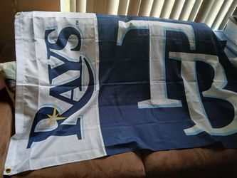 Tampa Bay rays wincraft 3x5 flag with grommets