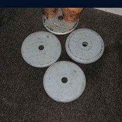 10LB Curl Bar Plates and Pull Up Bar 30$ Obo