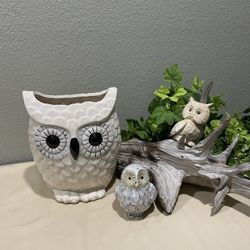 Large Owl Decorative Vase & More