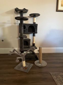 Cat Tree and Scratchers