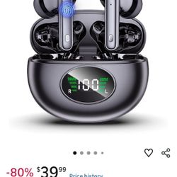 Translation Earbuds 