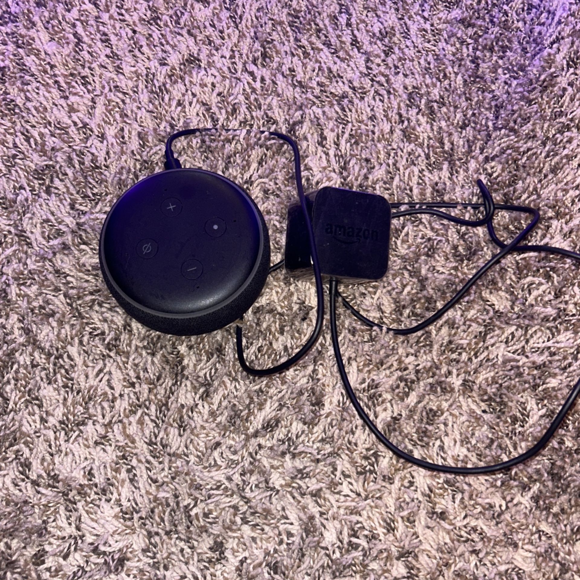 alexa echo dot