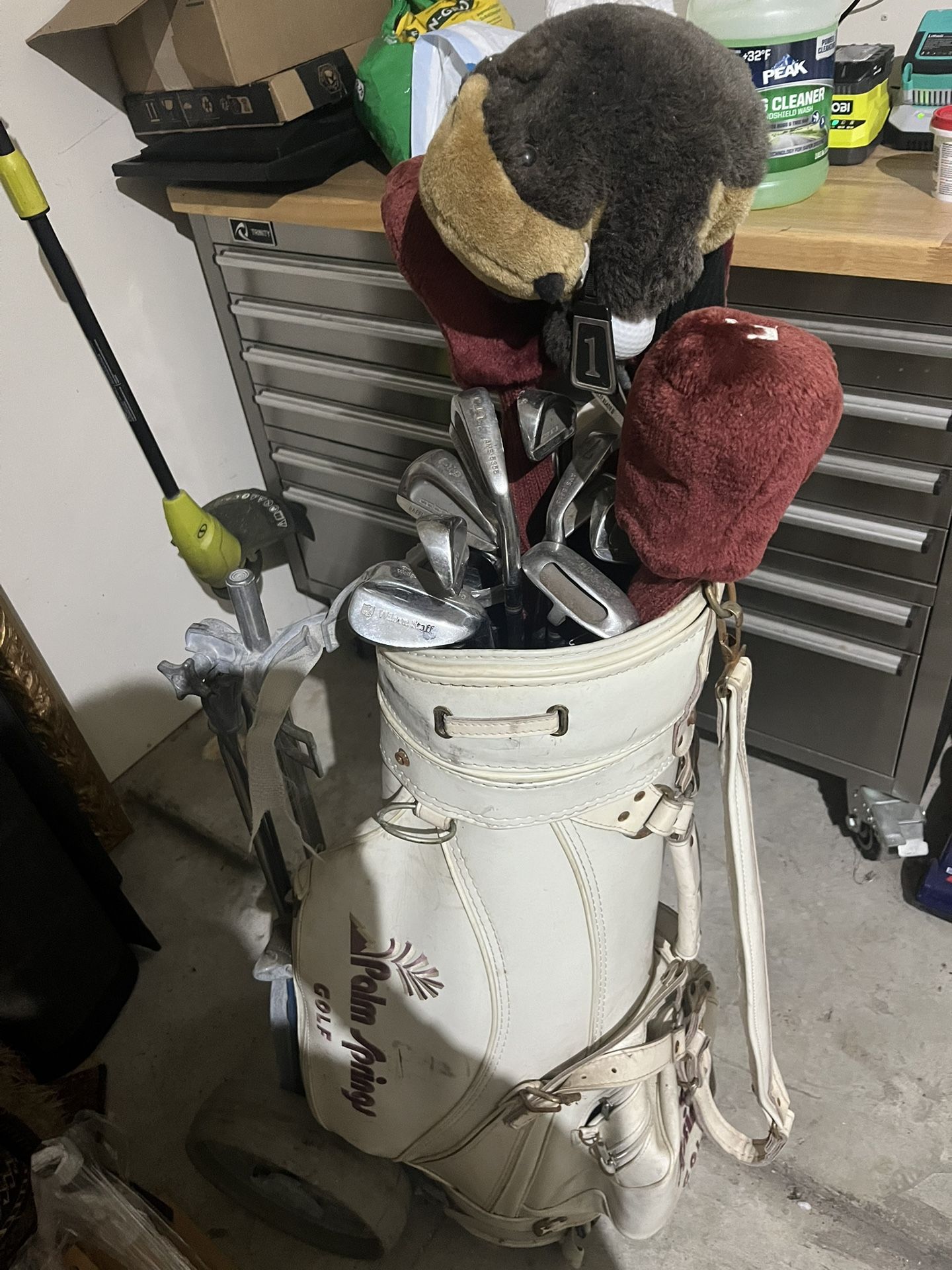 Golf Clubs & Bag 
