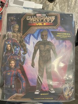 Guardian Of The Galaxy costume