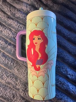 Disney Tumbler (22oz)