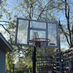 Basket Ball Hoop