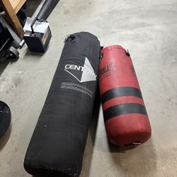 2 Heavy Bags For Sale Century  And Everlast Brands
