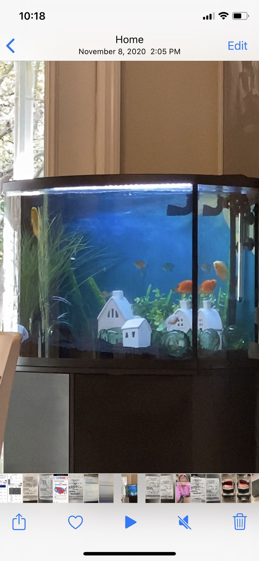Fish Aquarium 36 Gallons With Stand And Decorations And Light