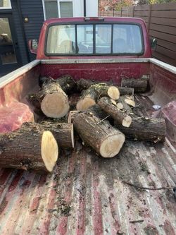 Free Wood