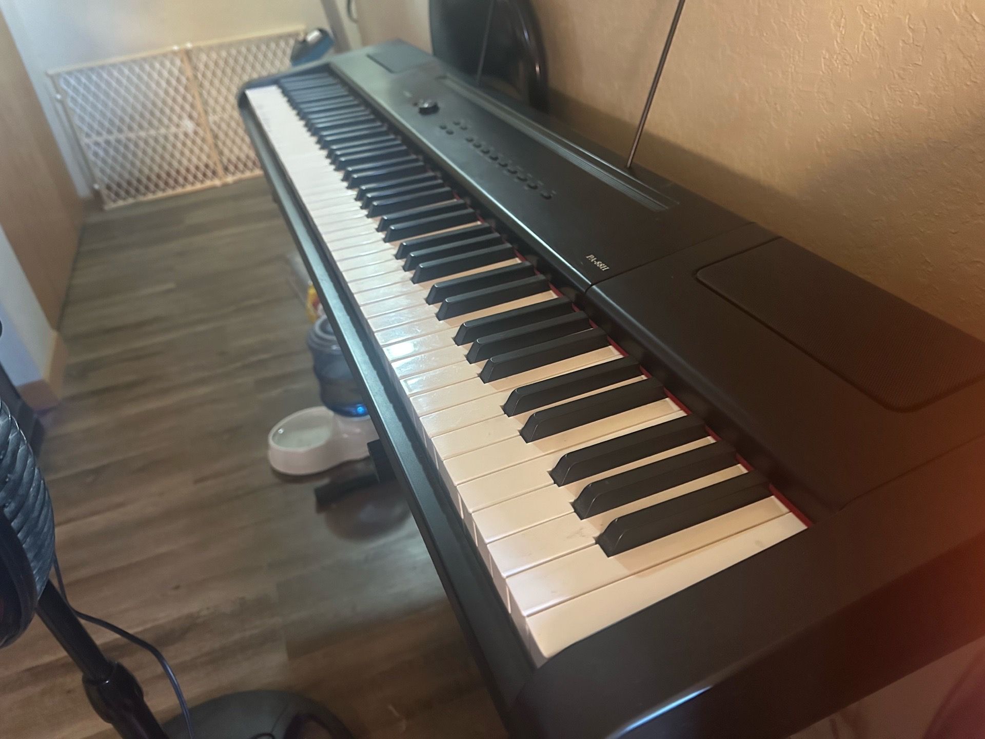 Piano Keyboard - Artesia