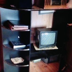 Entertainment cntr. Blk w/gold trim. 10 shelves & mirror doors. Will hold a 24"Flat screen tv or stereo. Perfect condition. Rolls too.