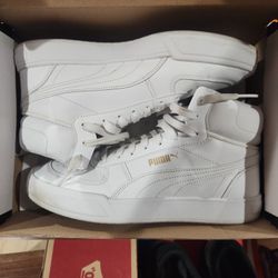 White Puma 