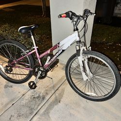 Mountain Bike/Hybrid Bike