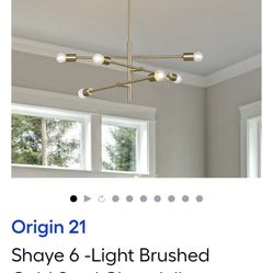 Shaye 6 light brushed gold steel chandelier