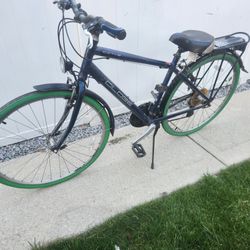 bicycle/bicicleta 
