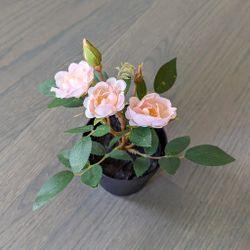 IKEA FEJKA Artificial Potted Plant, Indoor/Outdoor/Rose Pink for Sale in  Palatine, IL - OfferUp