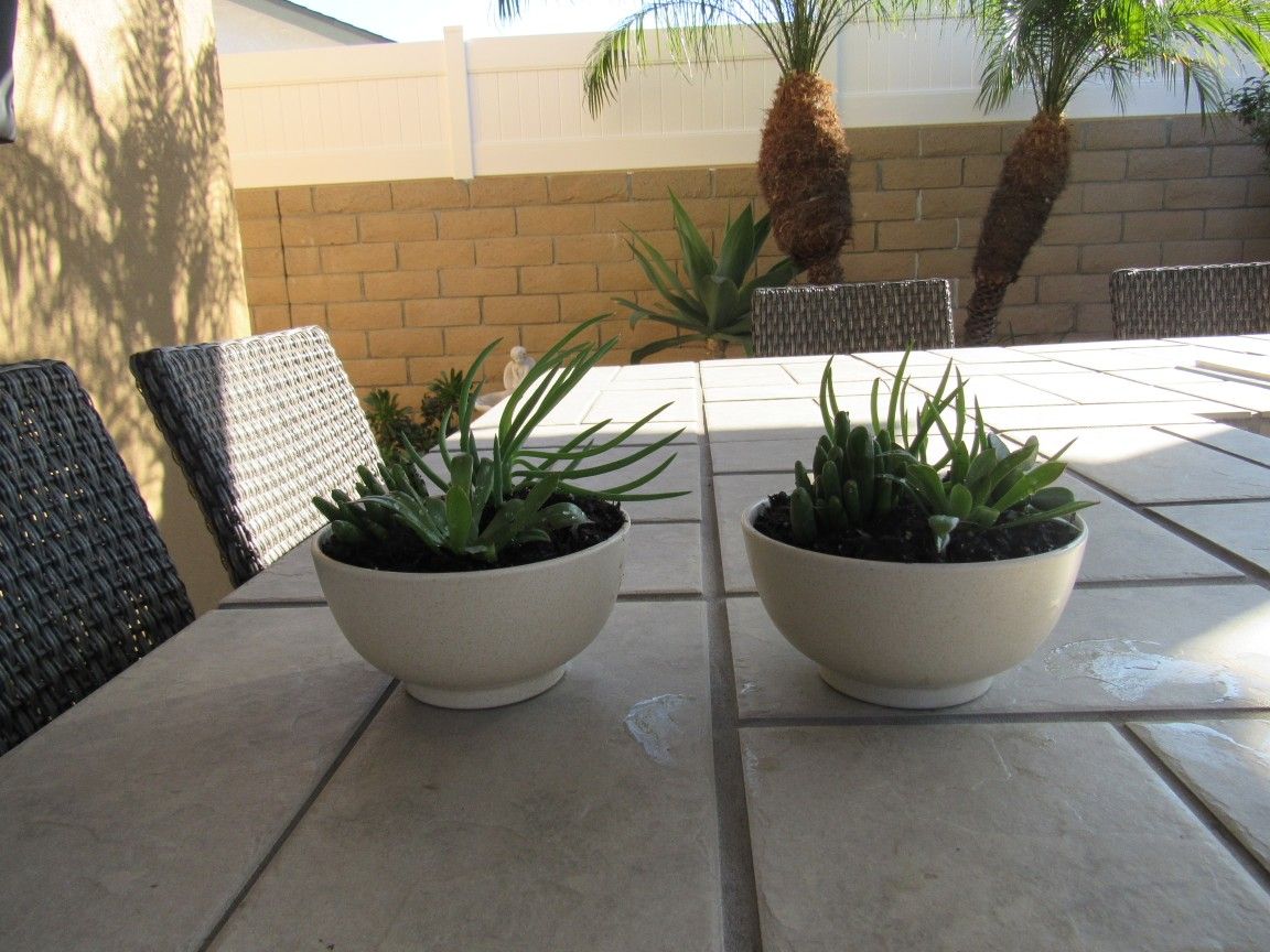 Pair Of Tan Round Garden Pots With Succulents