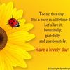 🌻Have a Lovely Day 🌻