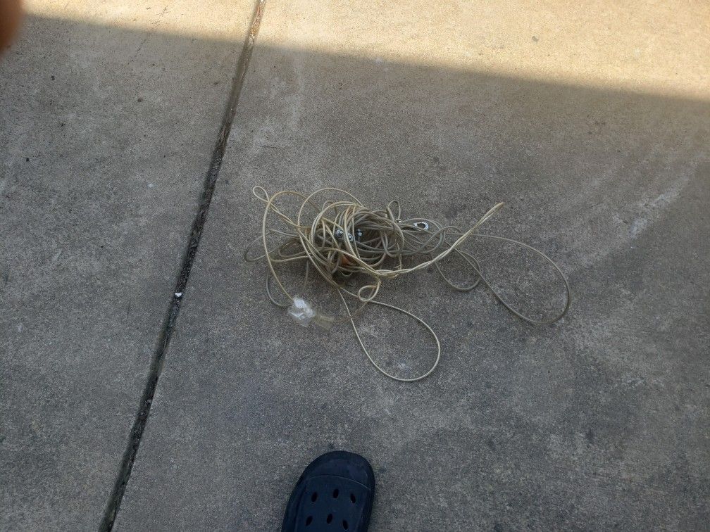 Dog Cable Line