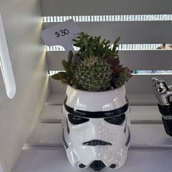 Storm Trooper Succulent Arrangement Mug