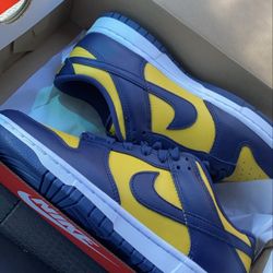 Nike Dunk Low Michigan 