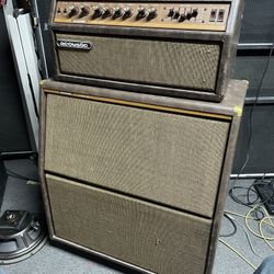 Acoustic Model G100T