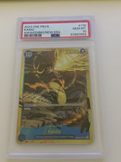 2023 ONE PIECE KAIDO