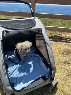 Pet stroller