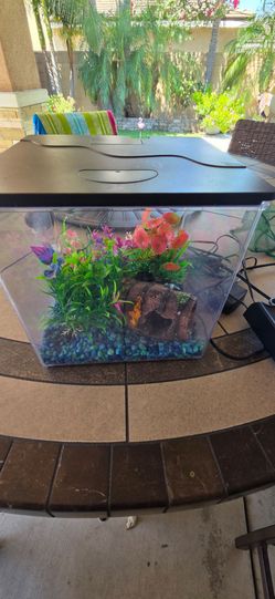 Fish tank