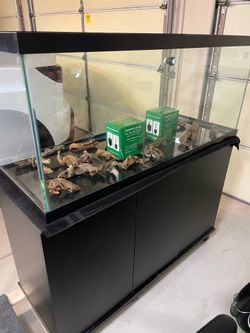 Aquarium, 75 Gallon with Stand