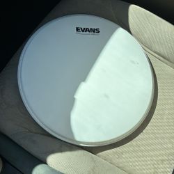 Evan’s Reverse Dot 13 Drum Head 